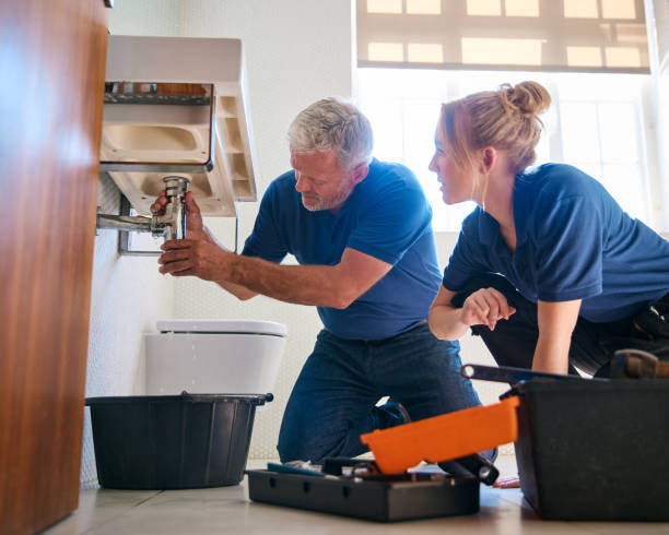 Best Emergency Plumbing Services in Meadowbrook, CA